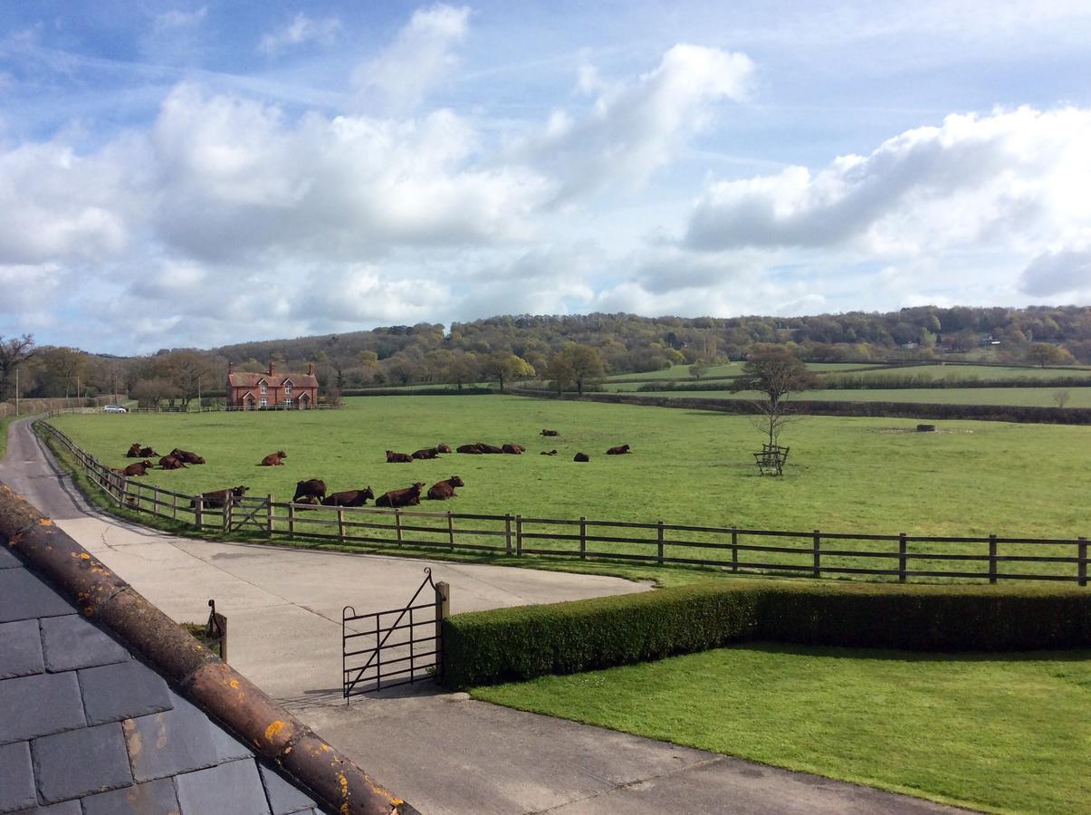 Moors Farmhouse Bed & Breakfast East Knoyle Bagian luar foto